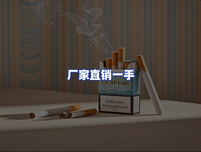 专业团队